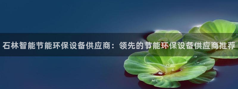 凯发国际k8官网登录视觉中国：石林智能节能环保设备供应商：领先的节能环保设备供应商推荐