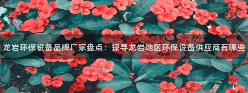 凯发k8国际是中国一家正规的网站平台字节跳动：龙岩环保设备品牌厂家盘点：探寻龙岩地区环保设备供应商有哪些